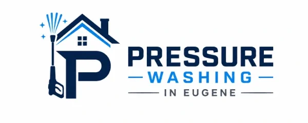 pressure wash logo